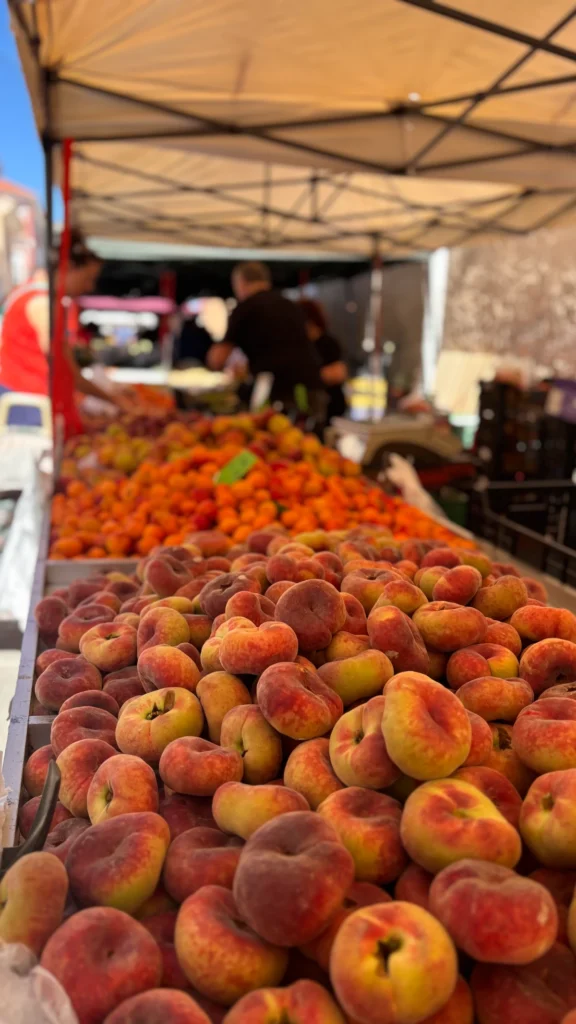 ALHAMA_surroundings 3